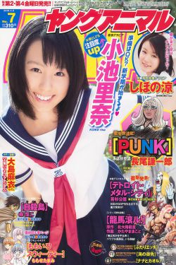 皇家骑士团
