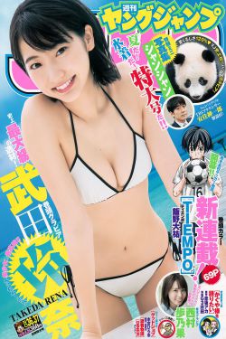 锦绣安宁电视剧免费观看