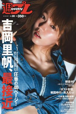 新红楼梦
