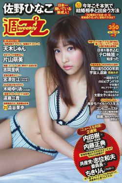 少年派1电视剧全集免费观看
